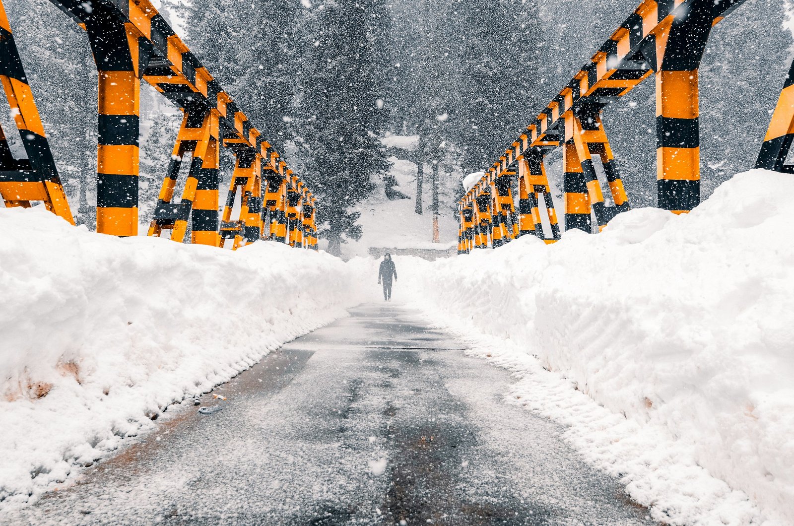 Driving the Kashmir Circuit: Srinagar and the Valleys